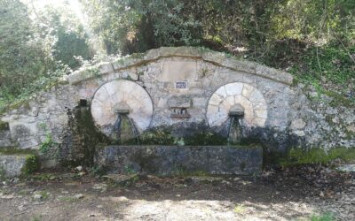 Pujada de Gelida a la Creu d’Aragall